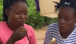 非洲人的生活视频,探寻原始魅力与多元文化